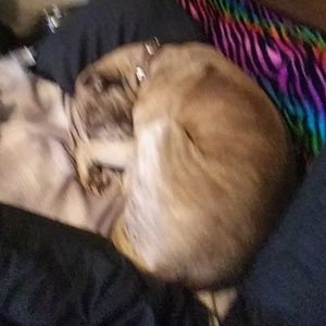 Meet your Posher, Georgette